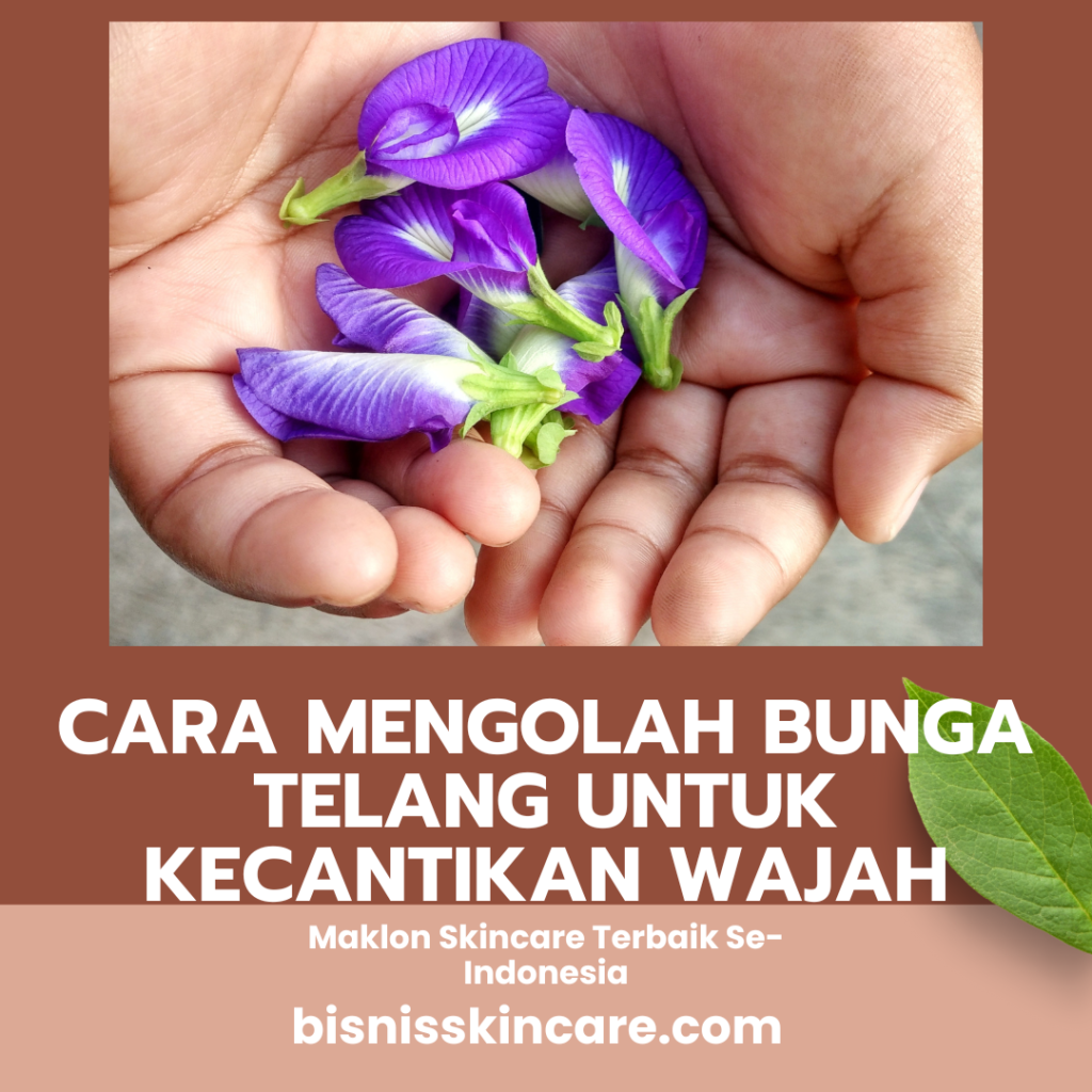 cara mengolah bunga telang untuk wajah