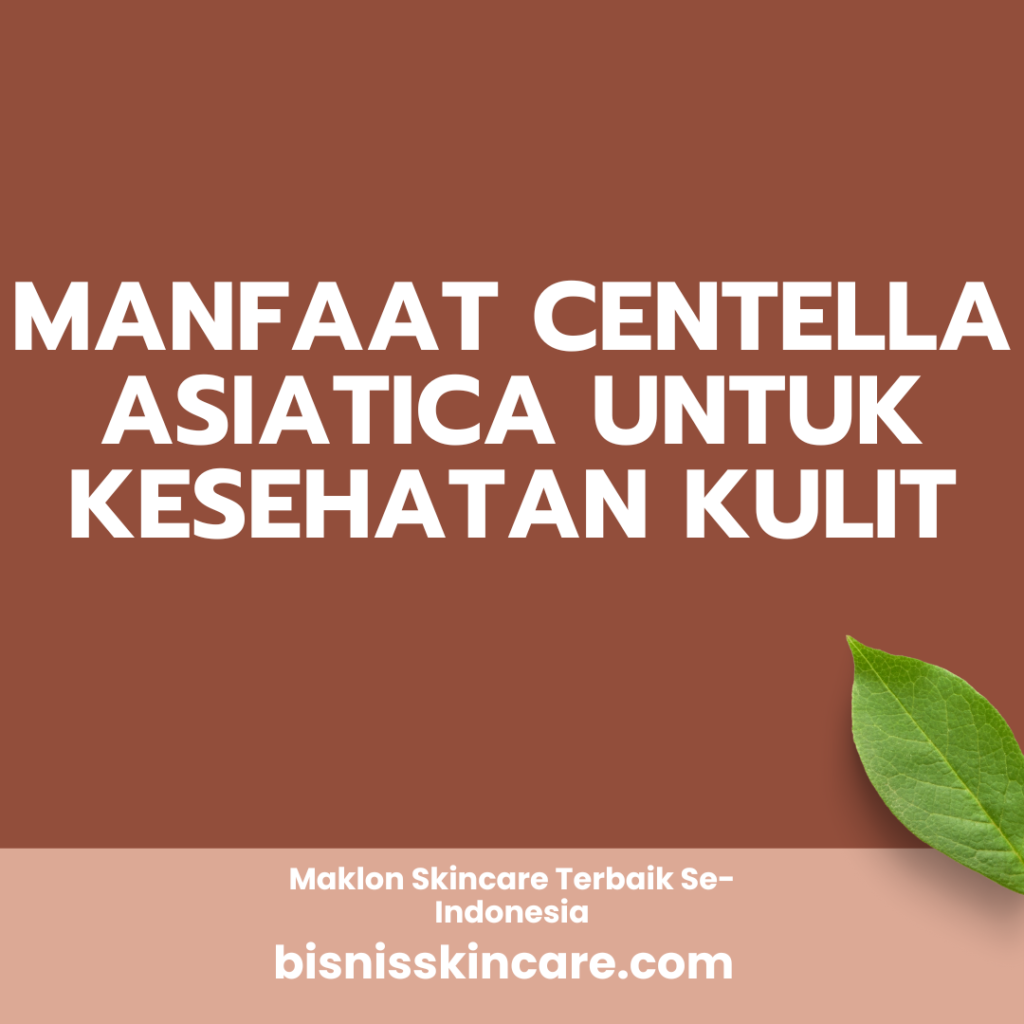 Manfaat Centella Asiatica untuk Kesehatan Kulit